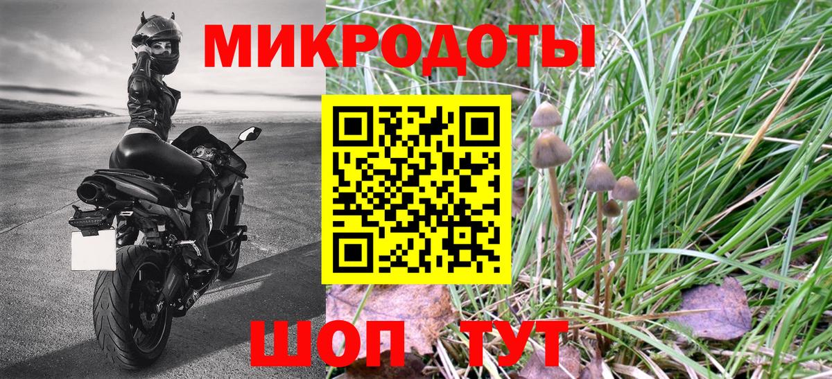 Галлюциногенные грибы GOLDEN TEACHER Ноябрьск