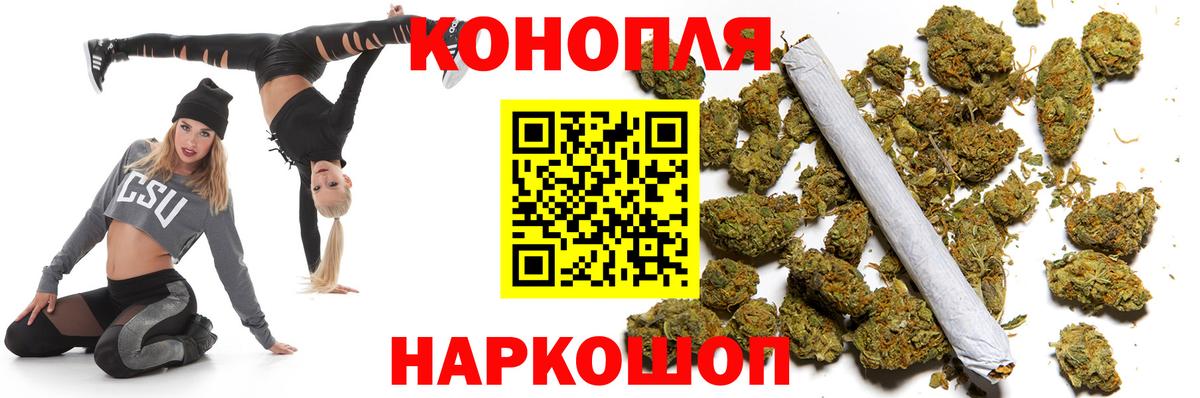 Бошки Шишки планчик Ноябрьск